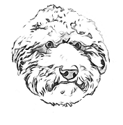 Aslan vom Hochblauenblick