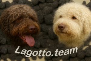 Lagotto.Team